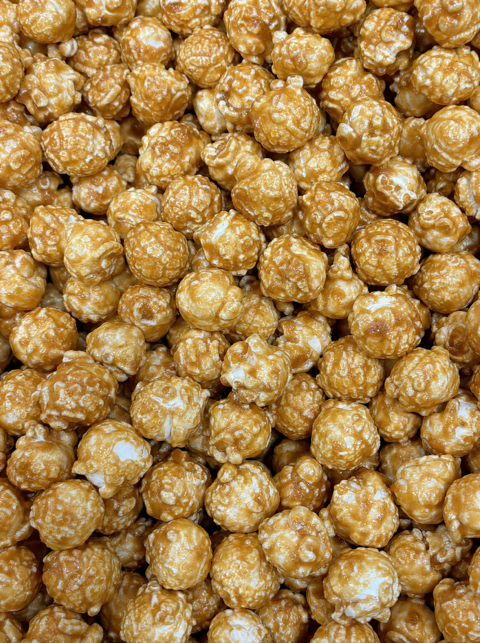 Halloween Popcorn Collection – 6 Spooky Flavours